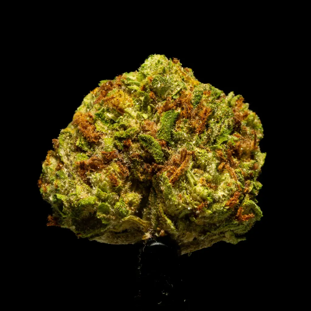 Bubblegum Horchata Smalls -FLOAT- 102725.webp