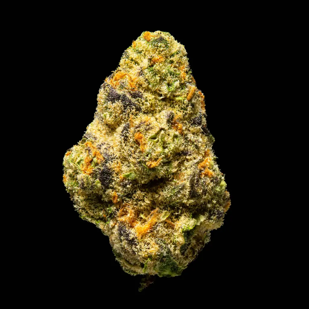 Hooch Indoor Smalls -FLOAT- 110725.webp