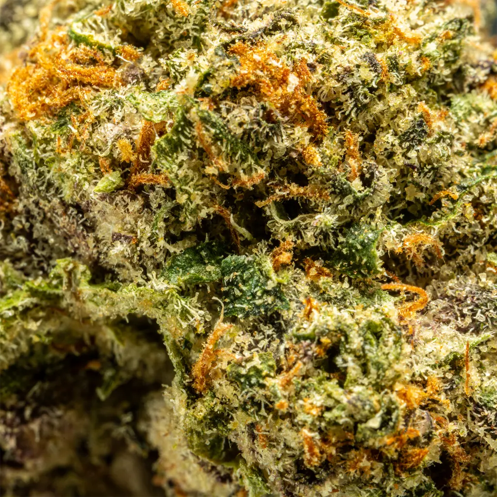 Stax - THCA Flower - Illemonati - Macro #2.webp