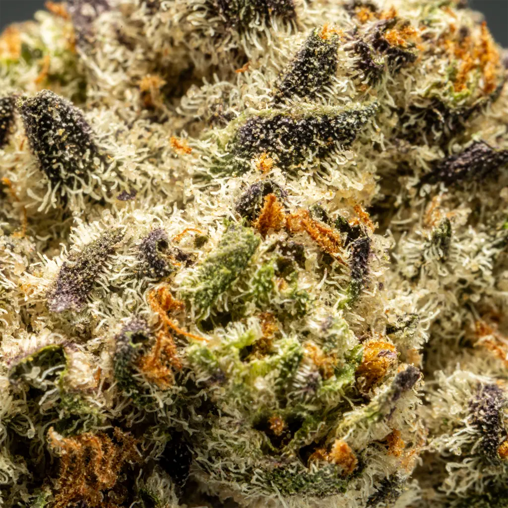 Stax - THCA Flower - Tropicana Cherry - Macro #2.webp
