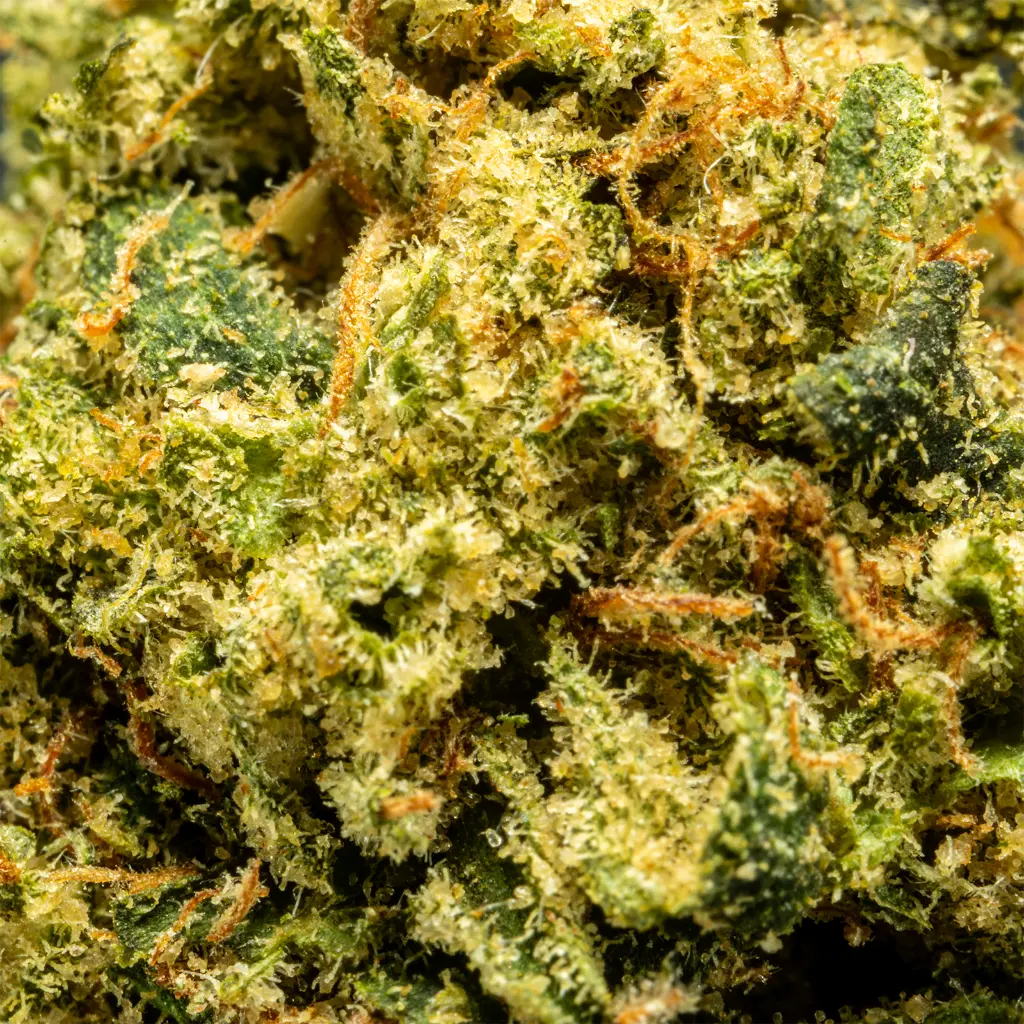 Stax - THCA Flower - Orange Cannoli - Macro #2.webp