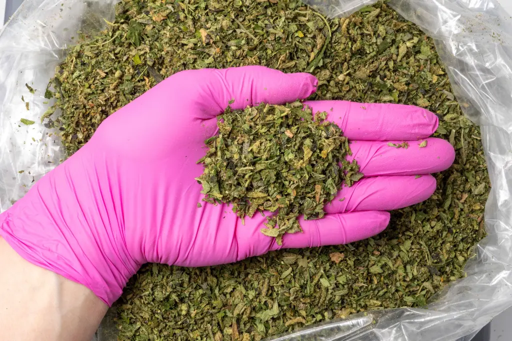 Dante's Inferno  Preroll Mix B 11-19-25 PINK.webp