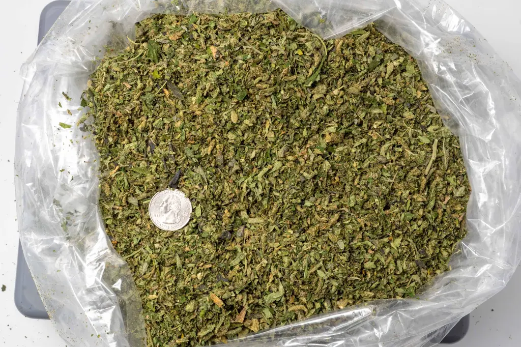 Dante's Inferno  Preroll Mix B 11-19-25 BAG.webp