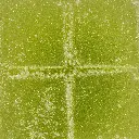 Stax - Gummies - 500mg - Lime Sorbet - Macro #3.webp