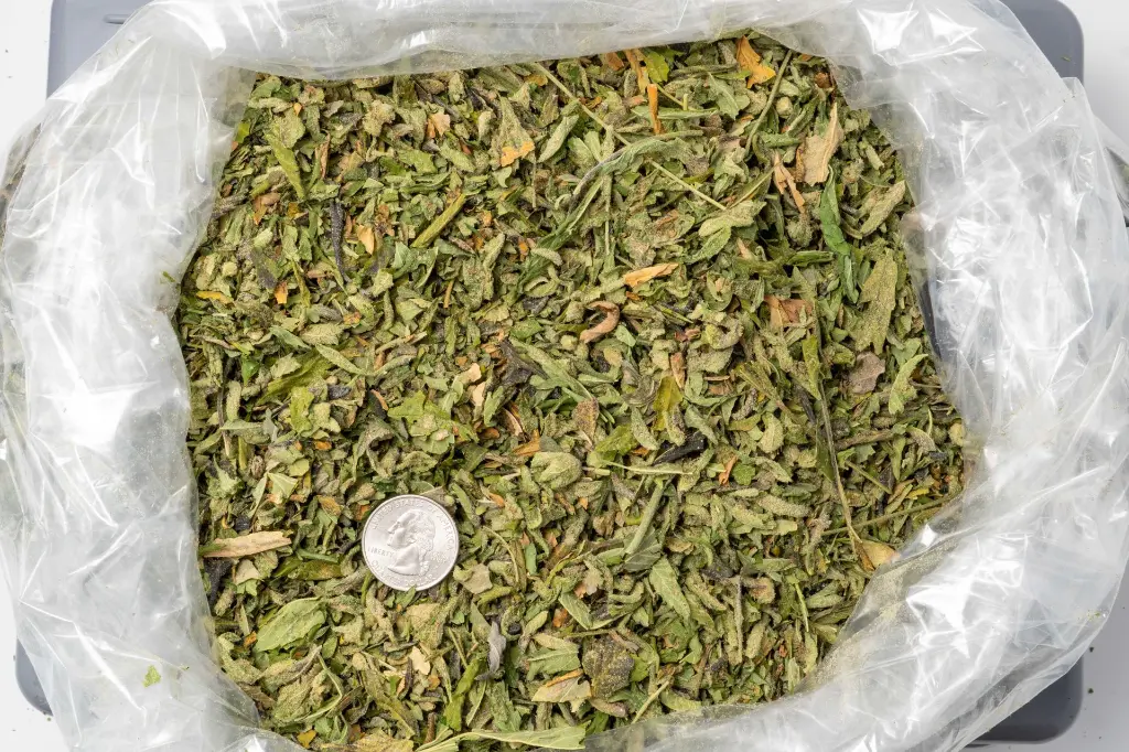 LCG Preroll Mix B 11-19-25 BAG.webp