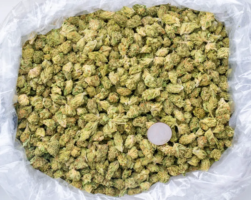 Bubba & Snow Smalls -BAG- 060325 20250530CPBAS.webp