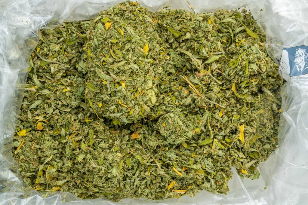 Orange Sicko A-Trim -BAG- 072925.webp