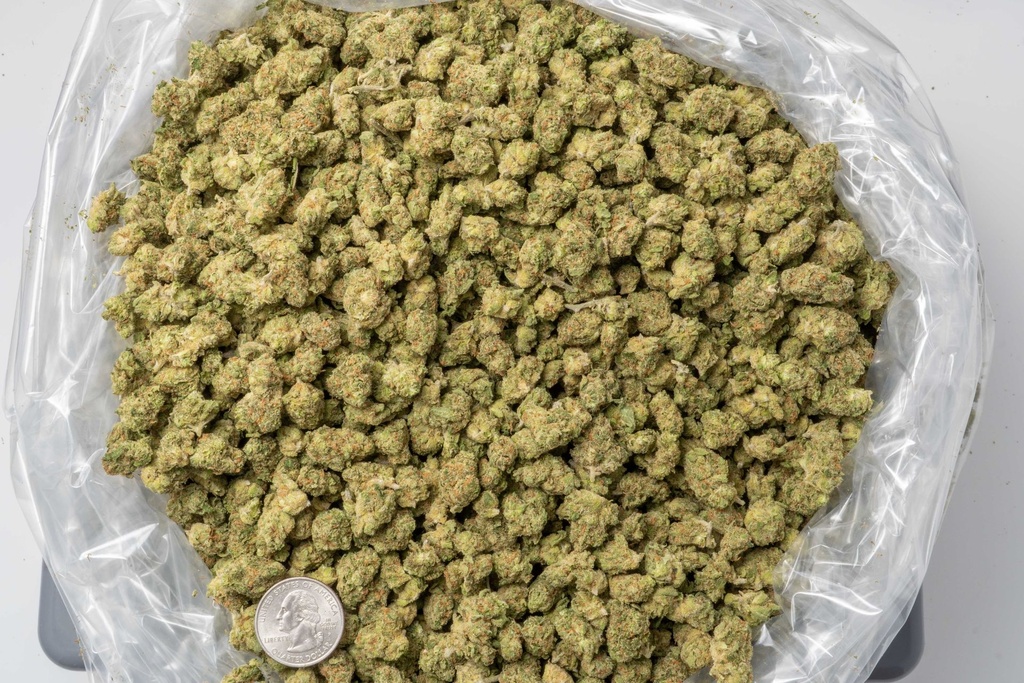Jack Herer Smalls 3-23-26 BAG.jpg