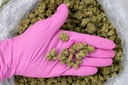 Pink Tuna Smalls -PINK- 051525 20250513HFPCZ.webp