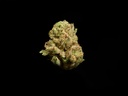 Pink Tuna Smalls -FLOAT- 051525 20250513HFPCZ.webp