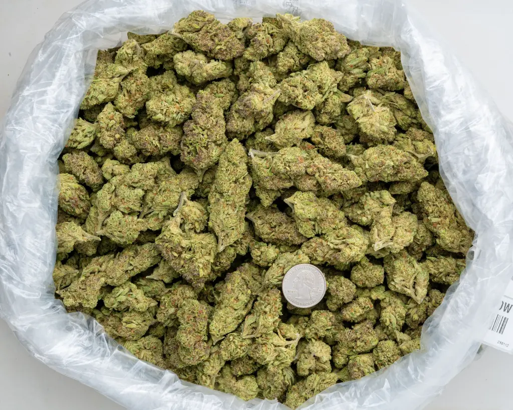 Bubba & Snow -BAG- 011226.webp