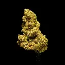 Bubba & Snow -BLACK- 011226.webp