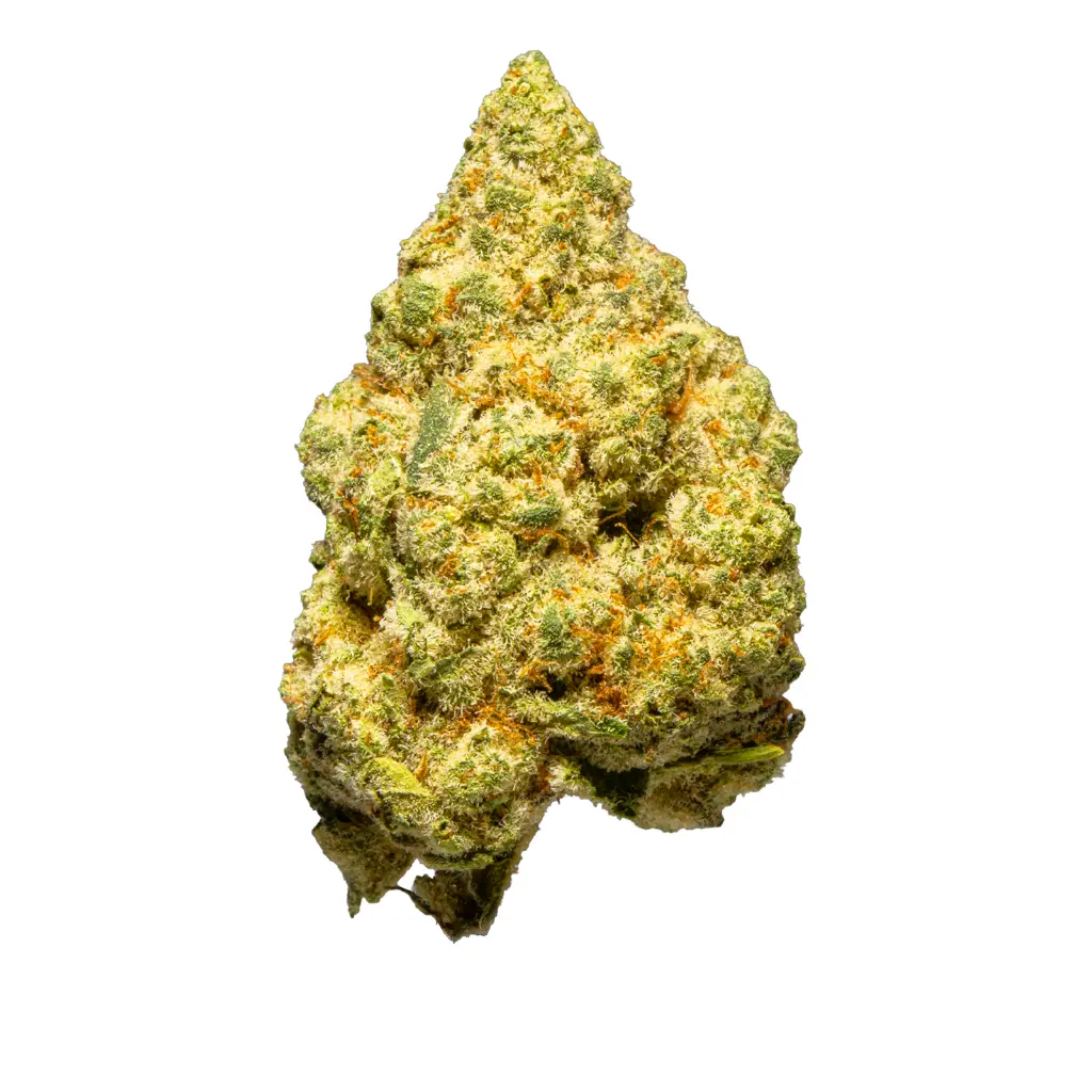 Top Jar - THCA Flower - 2oz - Cheetah Piss - Single #1.webp