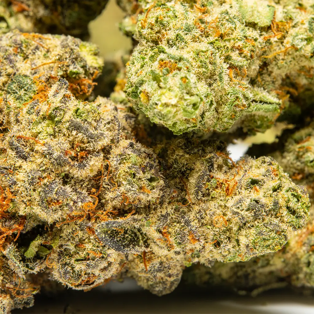 Top Jar - THCA Flower - 2oz - Cheetah Piss - Small Group #4.webp