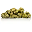 Top Jar - THCA Flower - 2oz - Cheetah Piss - Big Group #5.webp