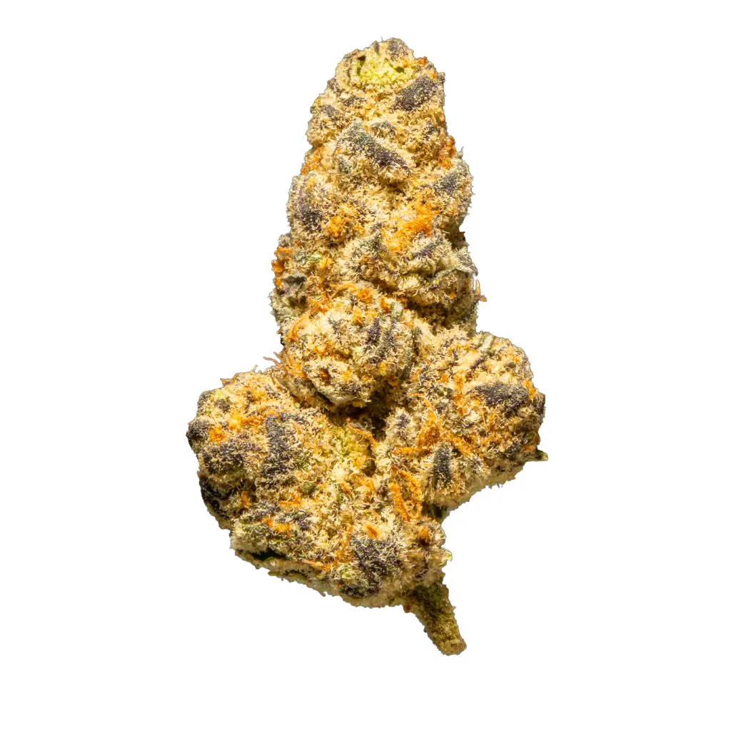 Top Jar - THCA Flower - 2oz - Gas Monkey - Single #1.webp