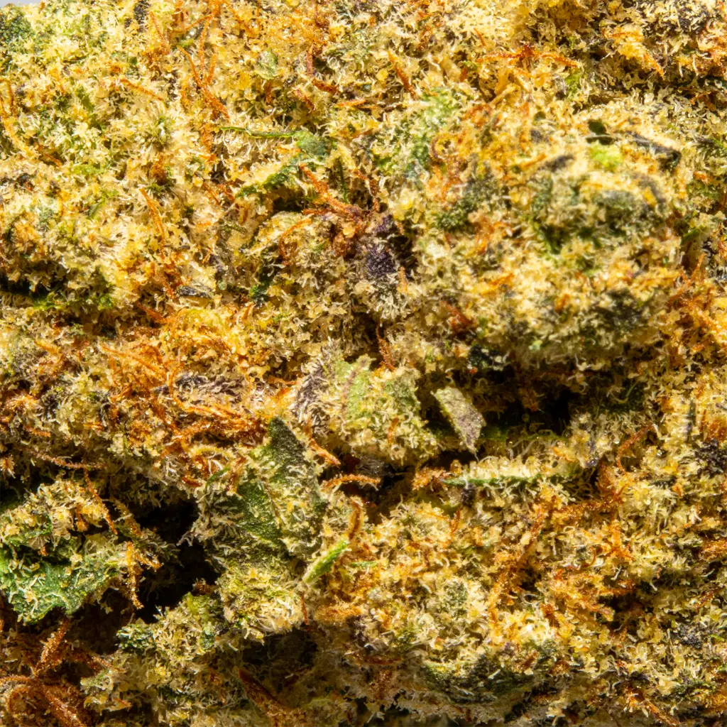 Top Jar - THCA Flower - 2oz - Jokerz Candy - Macro #2.webp