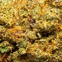 Top Jar - THCA Flower - 2oz - Jokerz Candy - Macro #2.webp