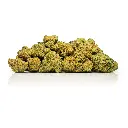 Top Jar - THCA Flower - 2oz - Pink Lemonade - Big Group #5.webp