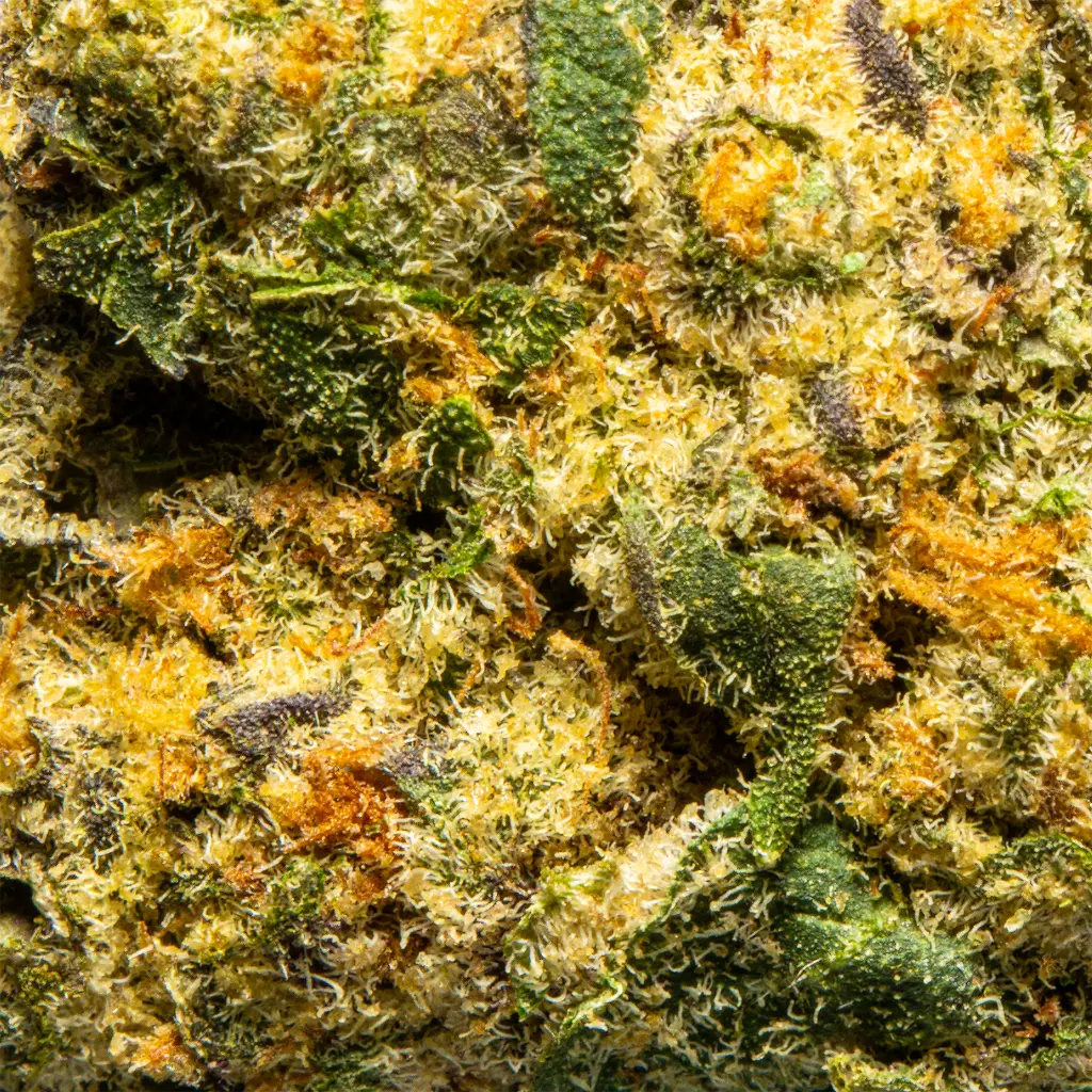 Top Jar - THCA Flower - 2oz - Pink Lemonade - Macro #2 (1).webp