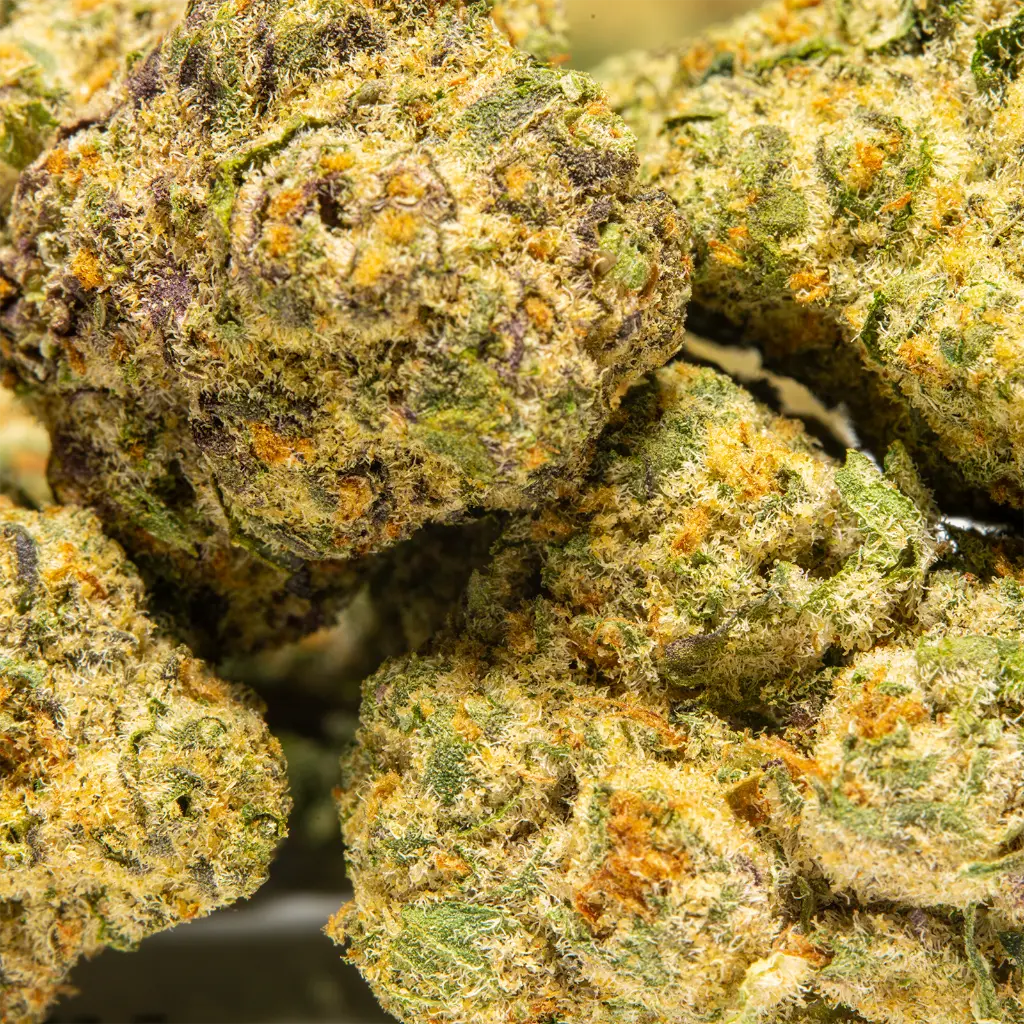 Top Jar - THCA Flower - 2oz - Pink Lemonade - Small Group #4.webp