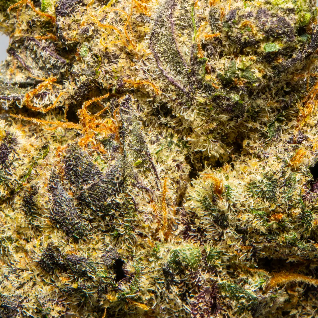 Top Jar - THCA Flower - 2oz - Pink Starburst - Macro #2.webp
