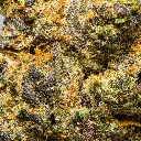 Top Jar - THCA Flower - 2oz - Pink Starburst - Macro #2.webp