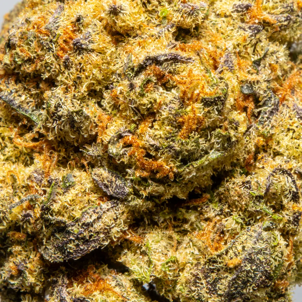 Top Jar - THCA Flower - 2oz - Pop Rocks - Macro #2.webp
