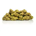Top Jar - THCA Flower - 2oz - Snow Leopard - Big Group #5 (1).webp