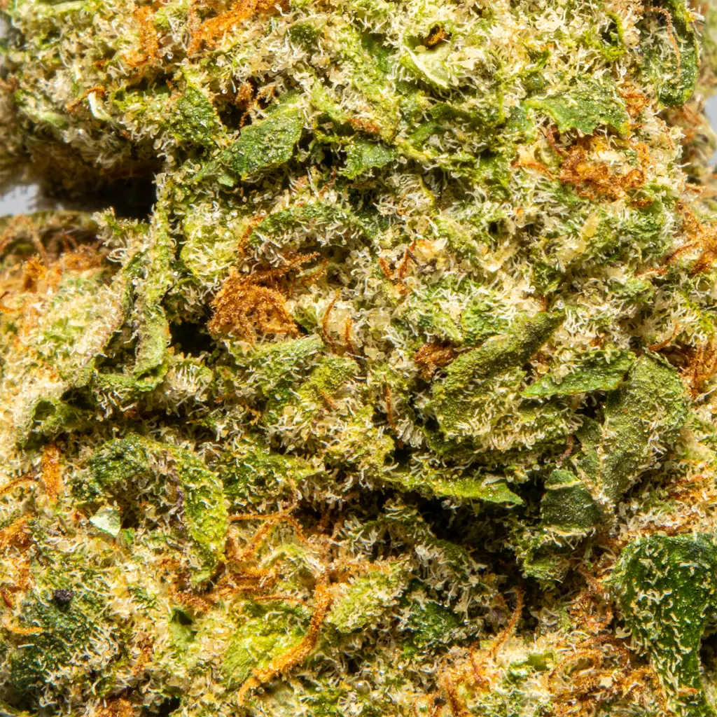 Top Jar - THCA Flower - 2oz - Snow Leopard - Macro #2.webp