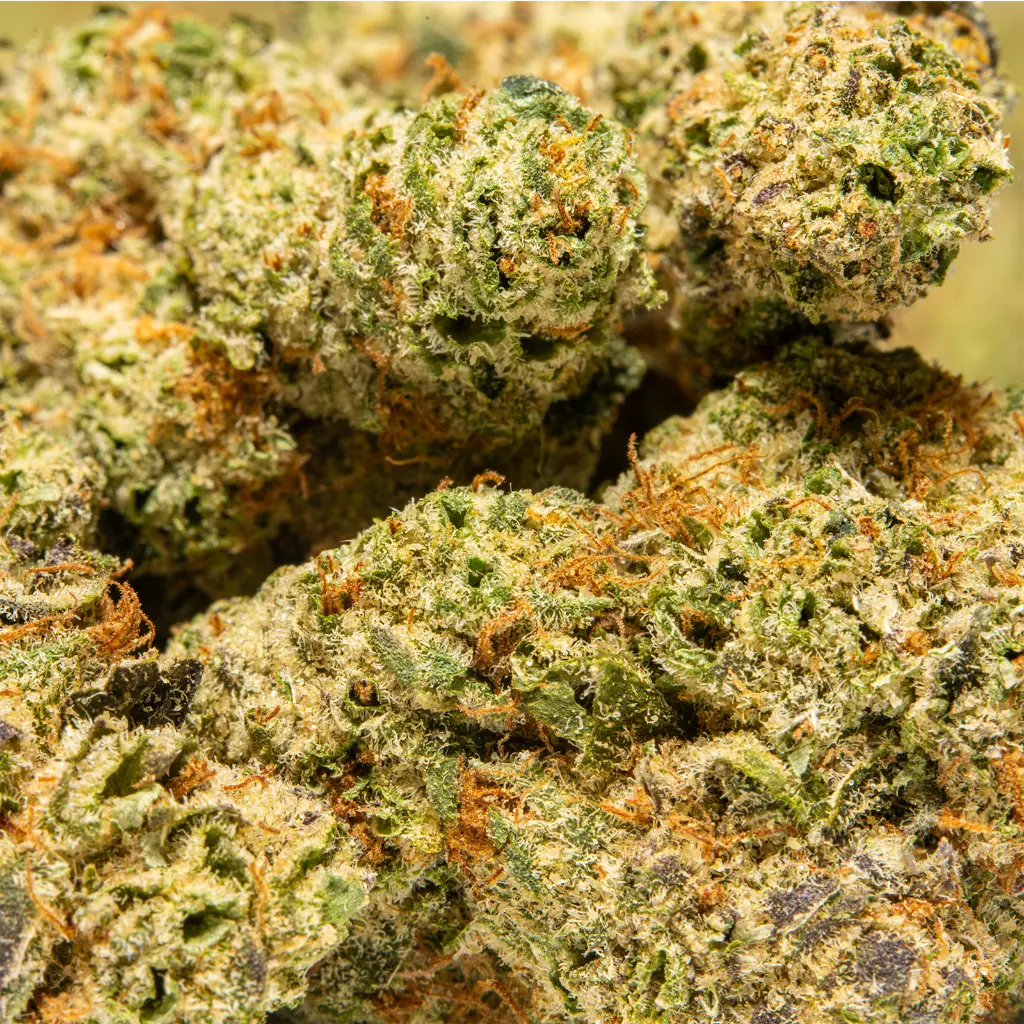 Top Jar - THCA Flower - 2oz - Snow Leopard - Small Group #4.webp