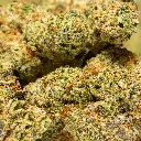 Top Jar - THCA Flower - 2oz - Snow Leopard - Small Group #4.webp
