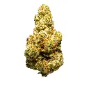 Top Jar - THCA Flower - 2oz - Snow Leopard - Single #1.webp