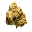Top Jar - THCA Flower - 2oz - White Guava - Single #1.webp