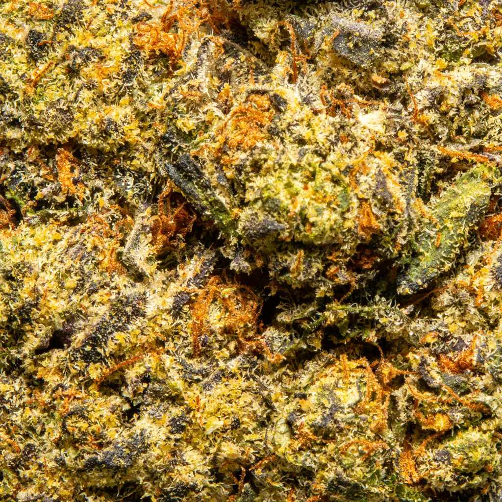 Top Jar - THCA Flower - 2oz - White Guava - Macro #2.webp