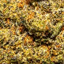 Top Jar - THCA Flower - 2oz - White Guava - Macro #2.webp