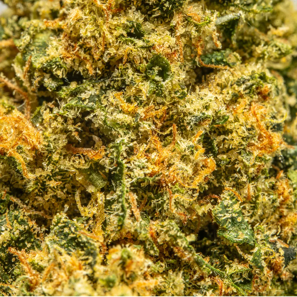 Top Jar - THCA Flower - 3.5g - Black Diamond - Macro #2.webp