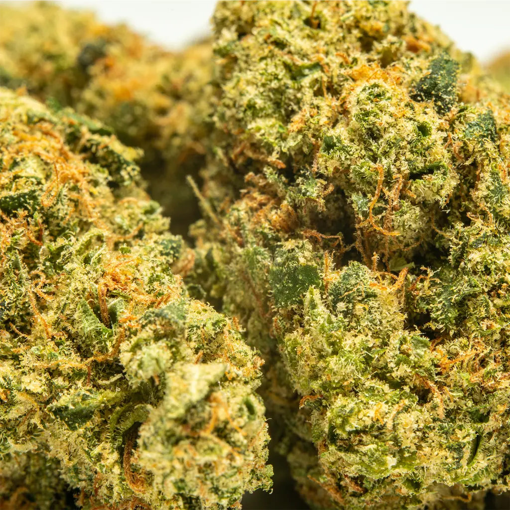 Top Jar - THCA Flower - 3.5g - Black Diamond - Small Group #5.webp