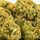 Top Jar - THCA Flower - 3.5g - Black Diamond - Small Group #5.webp