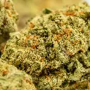 Top Jar - THCA Flower - 3.5g - Blueberry Skittles- Small Group #5.webp