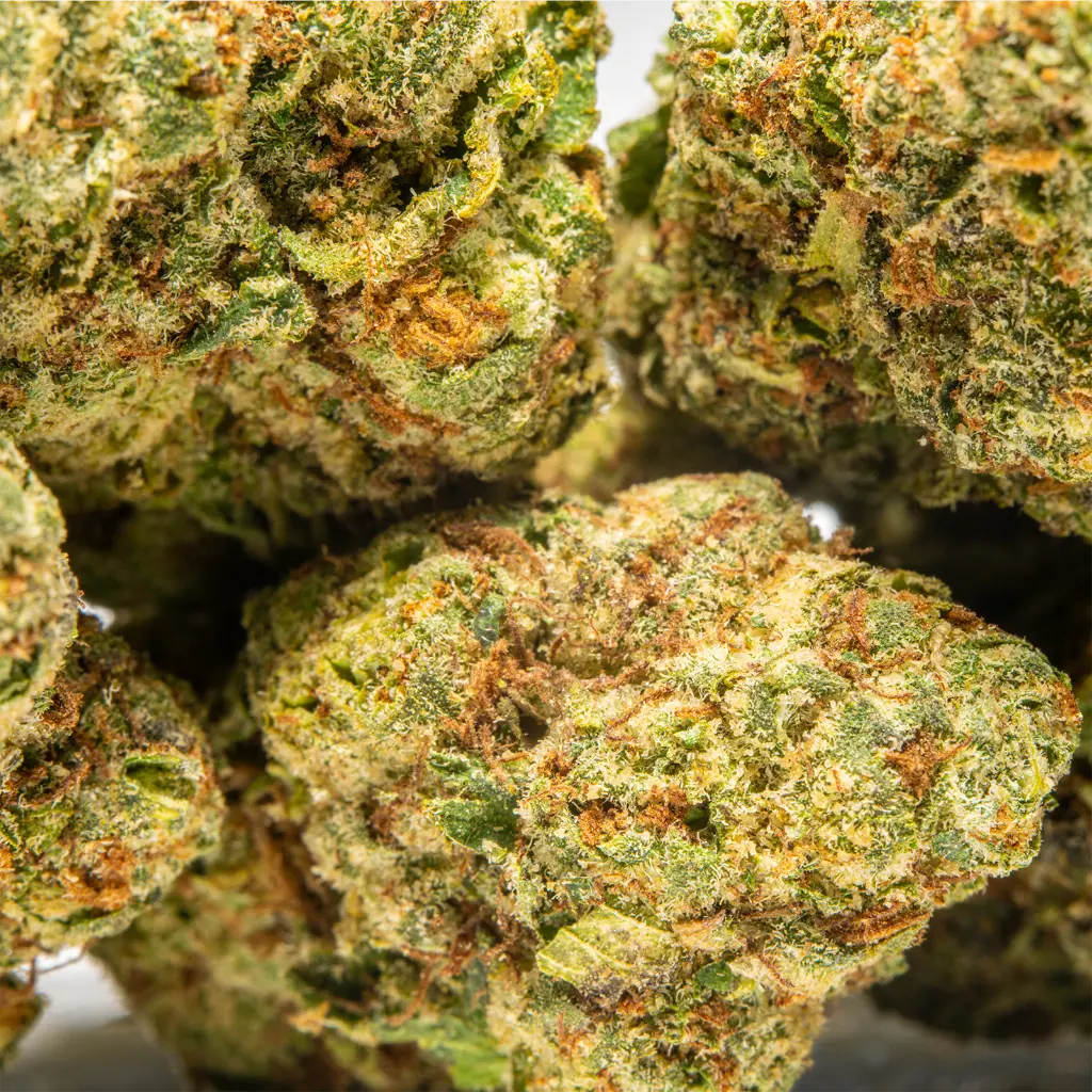 Top Jar - THCA Flower - 4oz - Bubblegum Gelato - Small Group #4 (1).webp