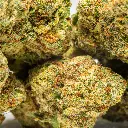Top Jar - THCA Flower - 4oz - Bubblegum Gelato - Small Group #4 (1).webp