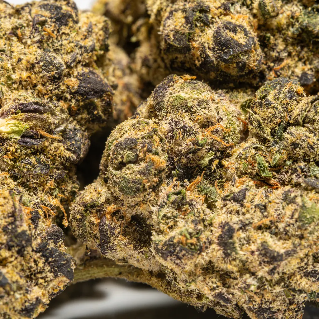 Top Jar - THCA Flower - 40z - LA Push Pop - Small Group #4.webp