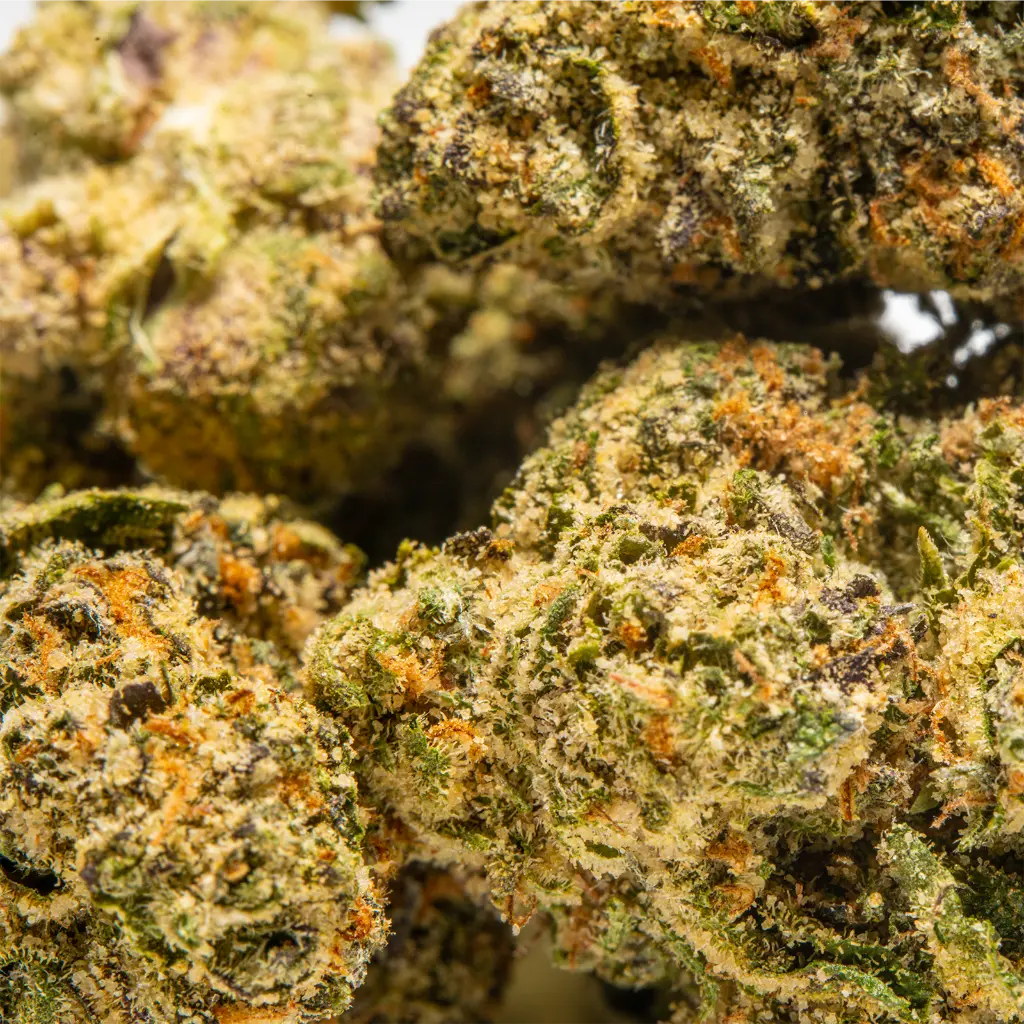 Top Jar - THCA Flower - 4oz - Lime Skunk - Small Group #4 (1).webp