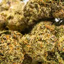 Top Jar - THCA Flower - 4oz - Lime Skunk - Small Group #4 (1).webp