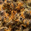 TopJar - THCA Flower -  Purple Cream - Macro #2 (2).webp