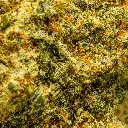 TopJar - THCA Flower -  Blue Slushie - Macro #2.webp