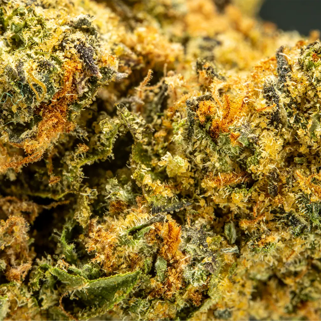Top Jar - THCA Flower - 3.5g - Blue Slushie - Macro #2.webp