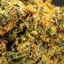 Top Jar - THCA Flower - 3.5g - Blue Slushie - Macro #2.webp