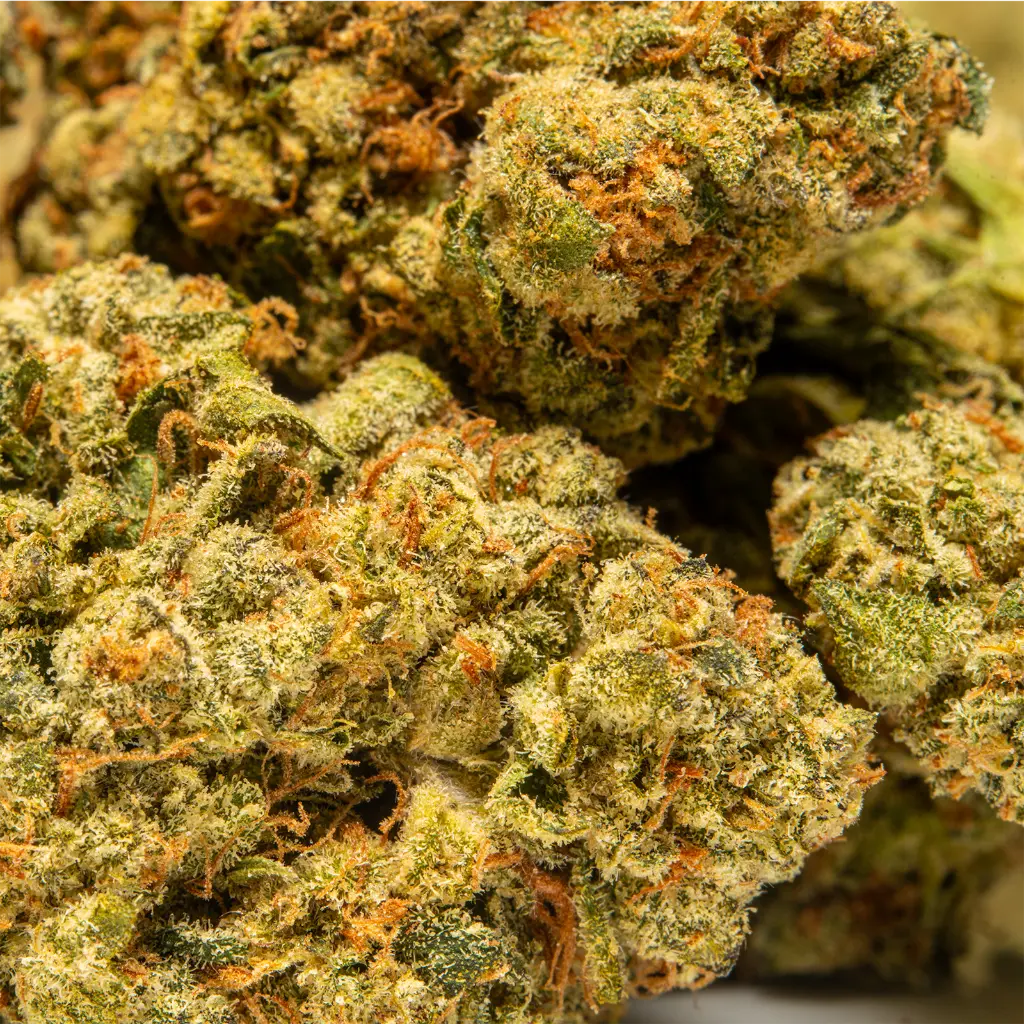 Top Jar - THCA Flower - 4oz - Blueberry Skittlez - Small Group #4.webp